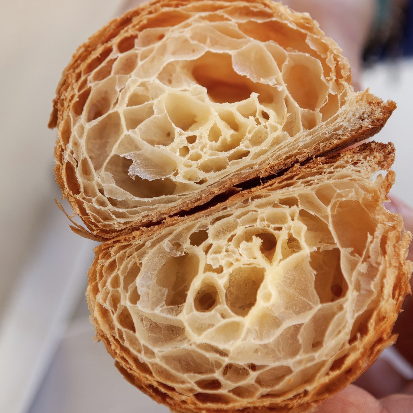 croissant artigianale san michele sud experience padova